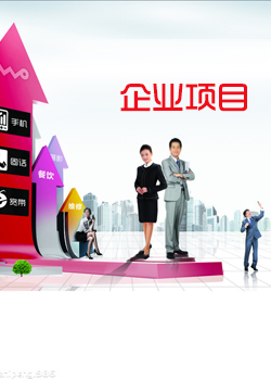 企业项目投资贷款担保